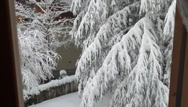 Appartamento immerso nel verde - Foto 2