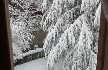 Appartamento immerso nel verde - Foto 2