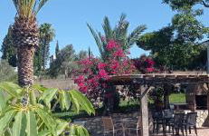 La Luciérnaga - Foto 57