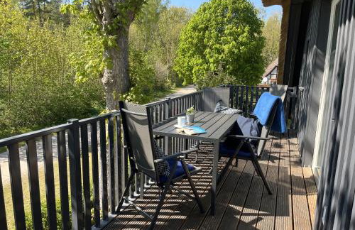 FW Bonica Reetdachhaus 4 Personen Balkon 2 SZ - Foto 19