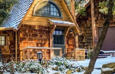 Wildland Zen Den Tiny House Retreat with Fireplace Grill AC Hammock Record Player Musical Instruments Pets OK - Foto 38