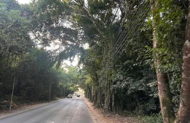 Casa da Preguiça com piscina - Photo 41