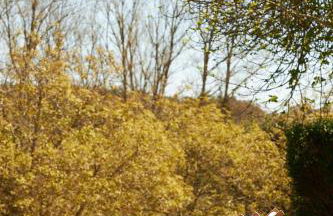 Quinta do Marmeleiro - Casa Marmeleiro - Foto 53