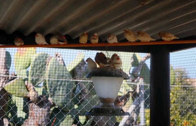 Casa Rural Ecuestre - Foto 68