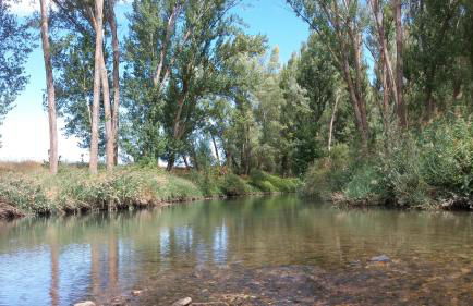 Rural Arco Iris - Foto 58