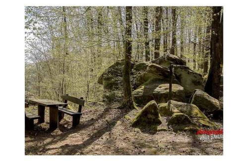 apartment Haus Renate Palatinate Forest - Foto 19