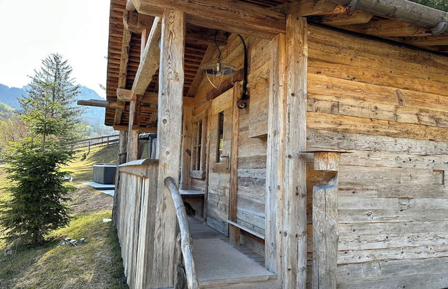 Alpine Mountain Chalet - Foto 66