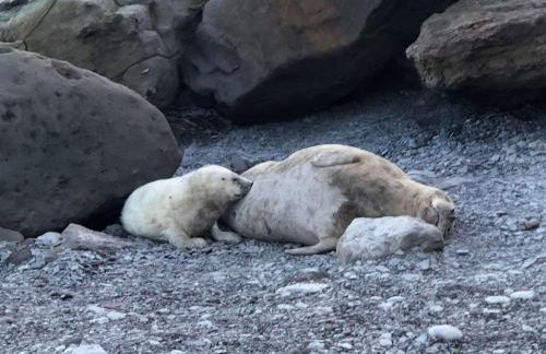 Mill House - Photo 24