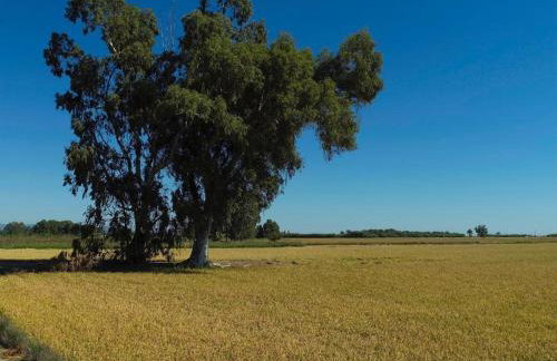 Casa Lorena - Foto 2