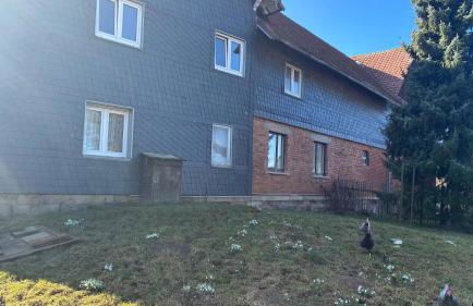 Landhaus Himmelsbach 22 - Foto 48