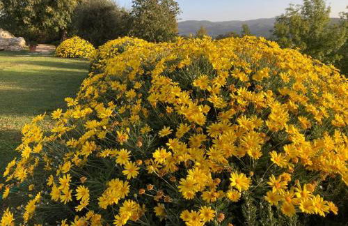 Il Nido del Falco nelle Antiche Mura - Foto 7