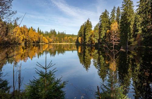 Ferienhaus Thale - Foto 40