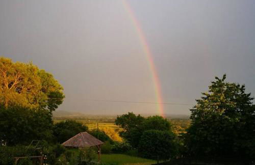 Hide on the Hill Cottage - Foto 40