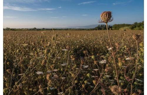 Modern Apartment in Agliana With Shared Garden - Foto 55