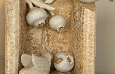 Serenity Living Platia, Tinos - Foto 37