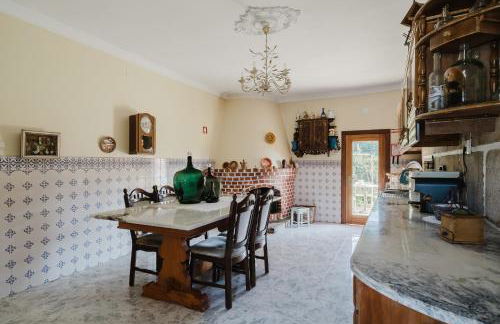 Quinta do Passal - Gondoriz - Foto 10