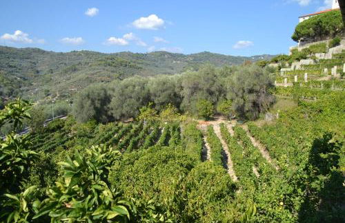 La casa del Prussiano - Foto 24