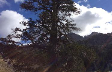 Apartamentos Ca de Marti - Foto 65