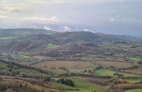 La casa del timo - The house of thyme - Foto 54