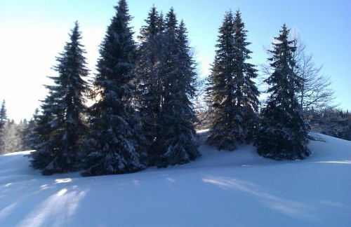 Chalet Daria - Foto 25