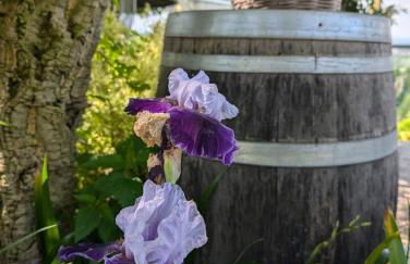 Cà Nostra B&B Home Restaurant - Photo 71