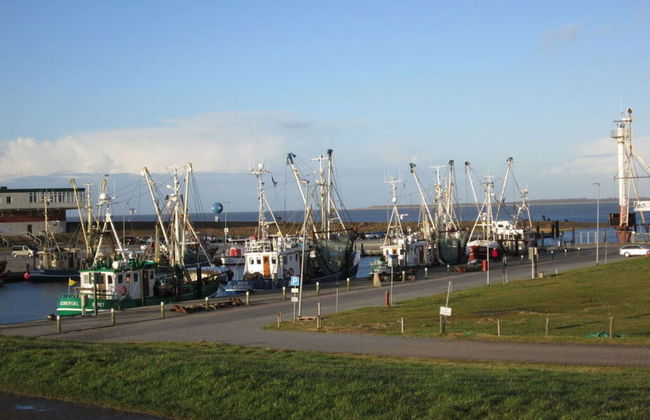 Dinkla 1 Comfortable Holiday Residence - Photo 23