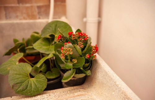 Holiday House Annunziata - Foto 18