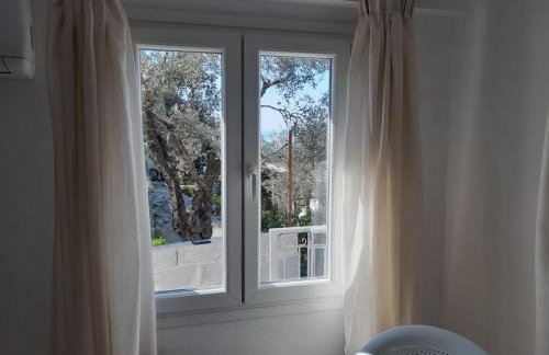 HORTO HOUSE - Foto 13