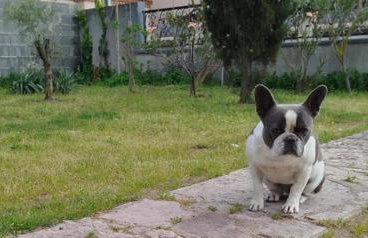 Villa climatisée, proche mer, 2 grands appartements indépendants, parking, wifi - Foto 36