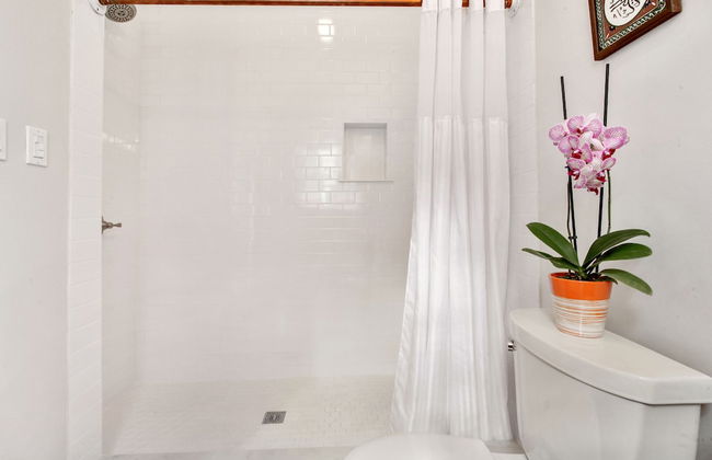 Montgomery Apartments on Magazine Street - Foto 70