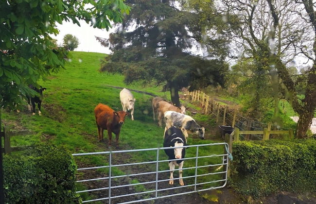 Apartment Sleeps 2 With Wood Fire - Foto 7