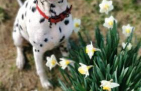 Glen Roe - 3 Bed Lodge on Friendly Farm Stay - Foto 75