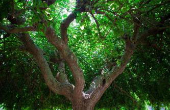 Casale Elisa Country Hotel - Foto 12