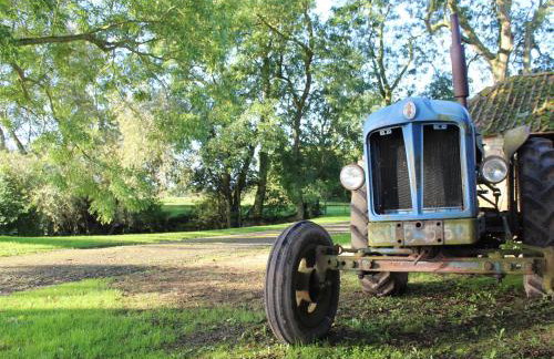 Swallow's Nest - Photo 32