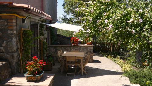 SCAPPO IN UMBRIA, la casa di Giuliana - Foto 2, Garden, Garden view