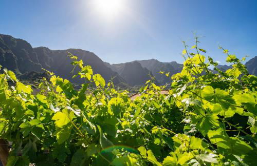 Quinta Vale Vitis - Foto 36