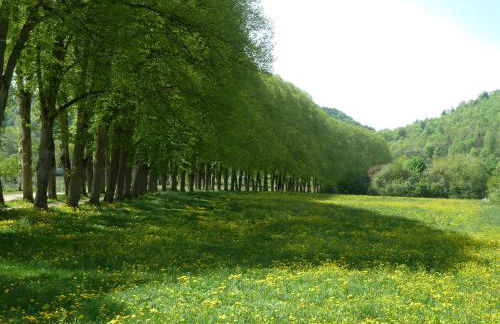 Ferienwohnung zur Altmühl - Foto 15