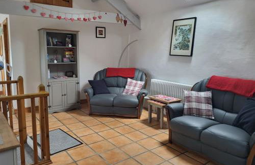 Bwthyn Plas Hafod Cottage - Photo 7