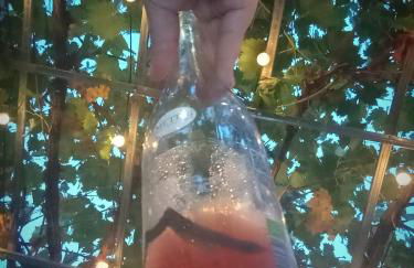 L'uliveto sui Trabocchi - Foto 6