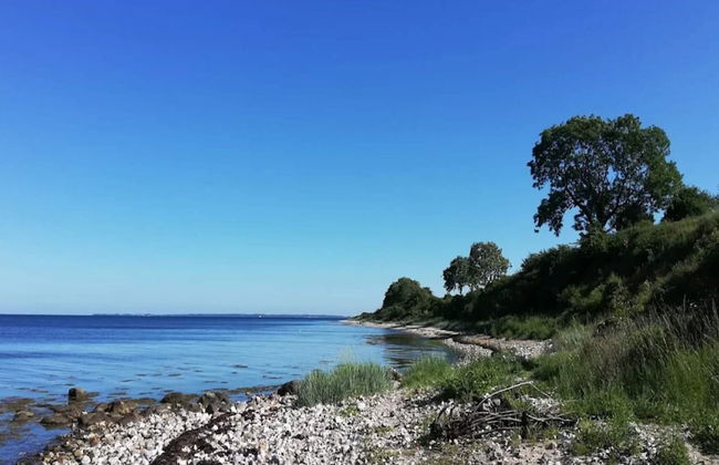 4 Person Holiday Home in Frorup - Photo 59