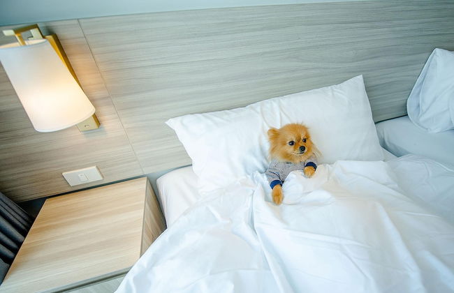 Oakwood hotel & Residence Sri Racha - Photo 13