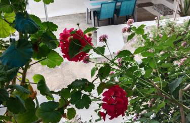 George Traditional House - Foto 7