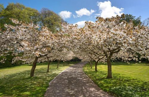 Gardener's Cottage - Foto 33