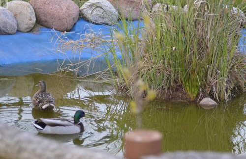 Mały Biały Domek Jeżyczki - Foto 16