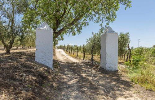 Hacienda San Antonio - Foto 49