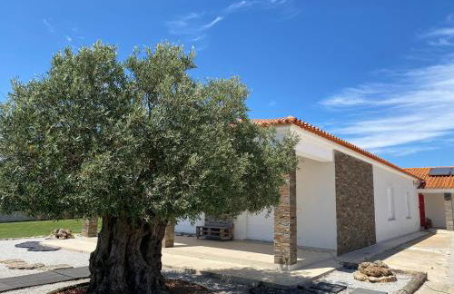 Adega Monte Maneta - Foto 27