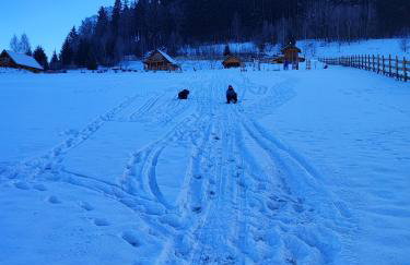 DOMKI KOLOROWE - Foto 65