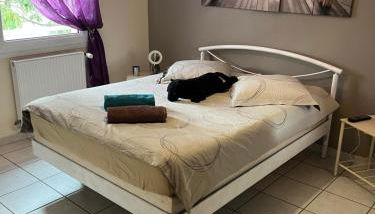 Villa le jasmin très calme - Foto 5