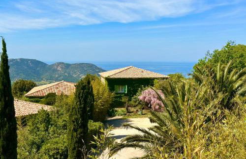 Domaine Victoria - Foto 2