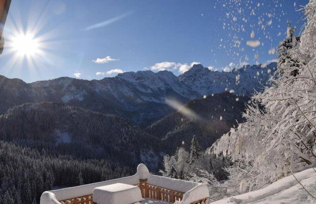 Shepperd Miha's House Private Ski Area - Foto 10